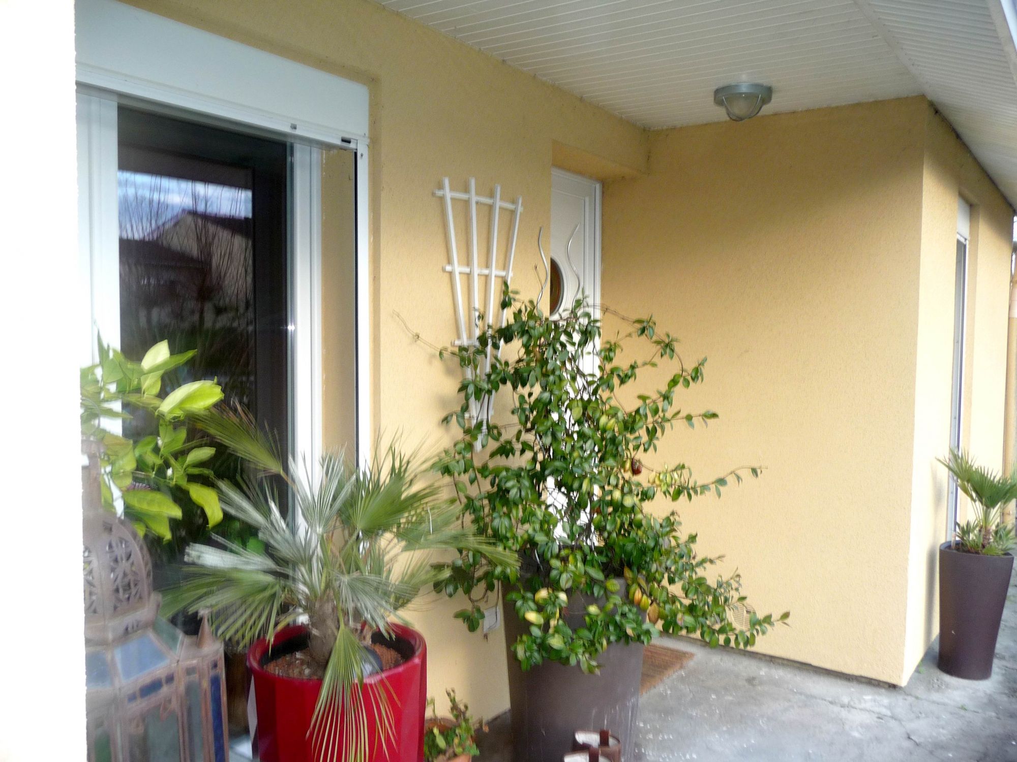 MAISON PLAIN PIED 110M²  3 CHAMBRES 465M² DE TERRAIN CANEJAN